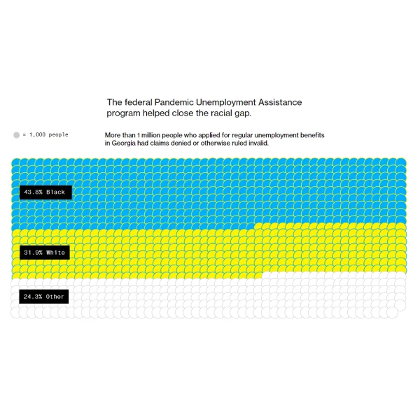 Rachael Dottle - interactive