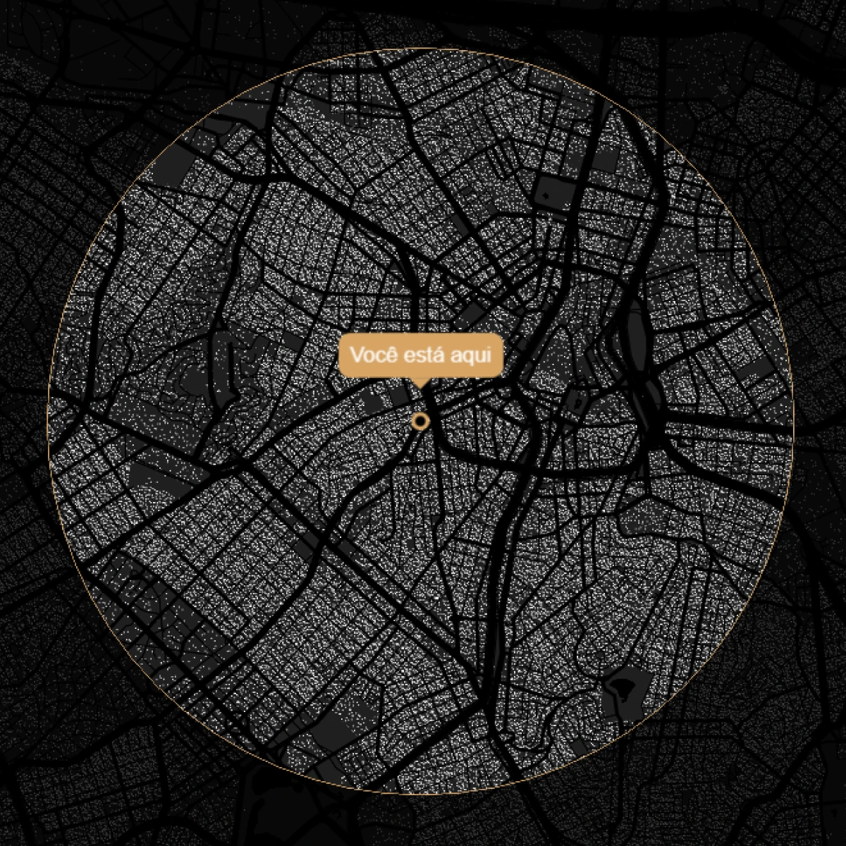 Rodrigo Menegat - interactive