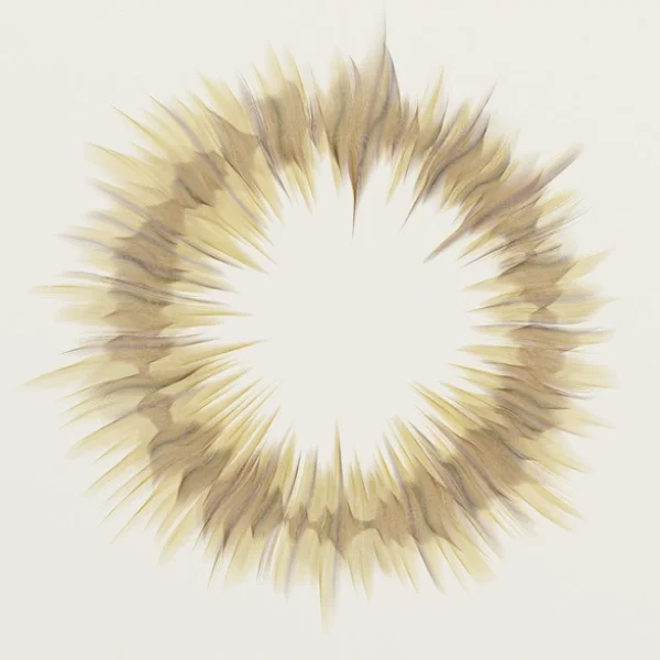 Tiziana Alocci - designer